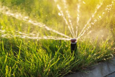 Lawn sprinkler sending water