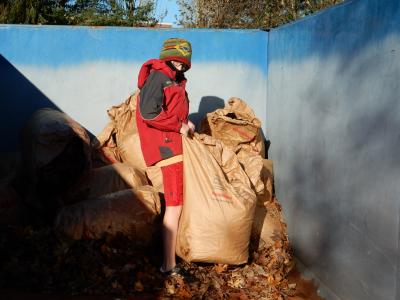 Resident drops bag of leaves in commercial dumpster.