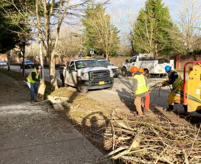 City staff removing fallen trees from the street
